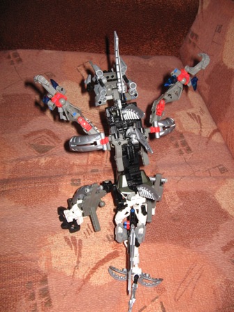 stupid_pictures_of_makuta_003.jpg