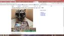 craigslist_post_02.jpg