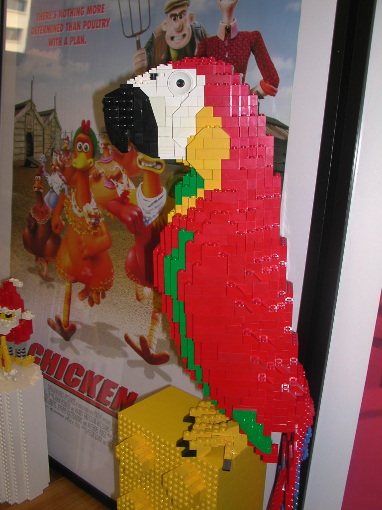 red_parrot.jpg