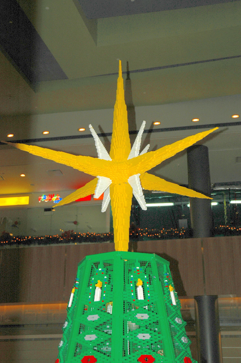the_star.jpg