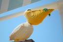pelican.jpg