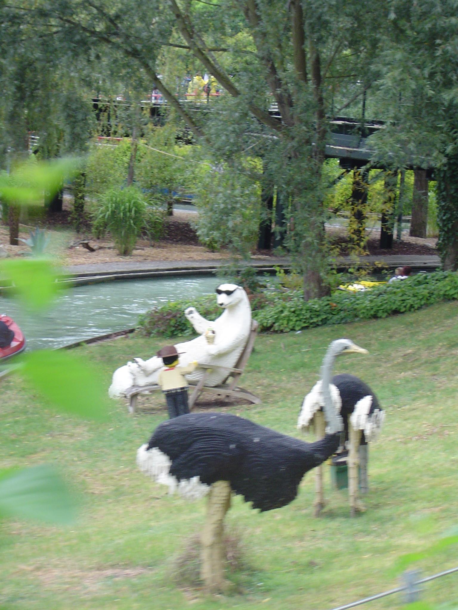 dsc05964.jpg