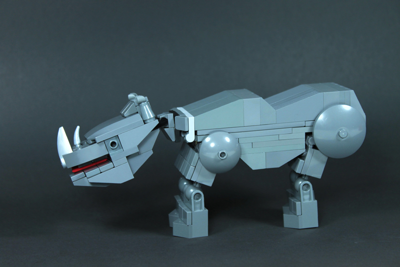 3_rhino.jpg