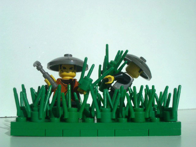 rice_field3.jpg
