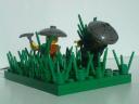 rice_field2.jpg