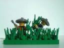 rice_field3.jpg