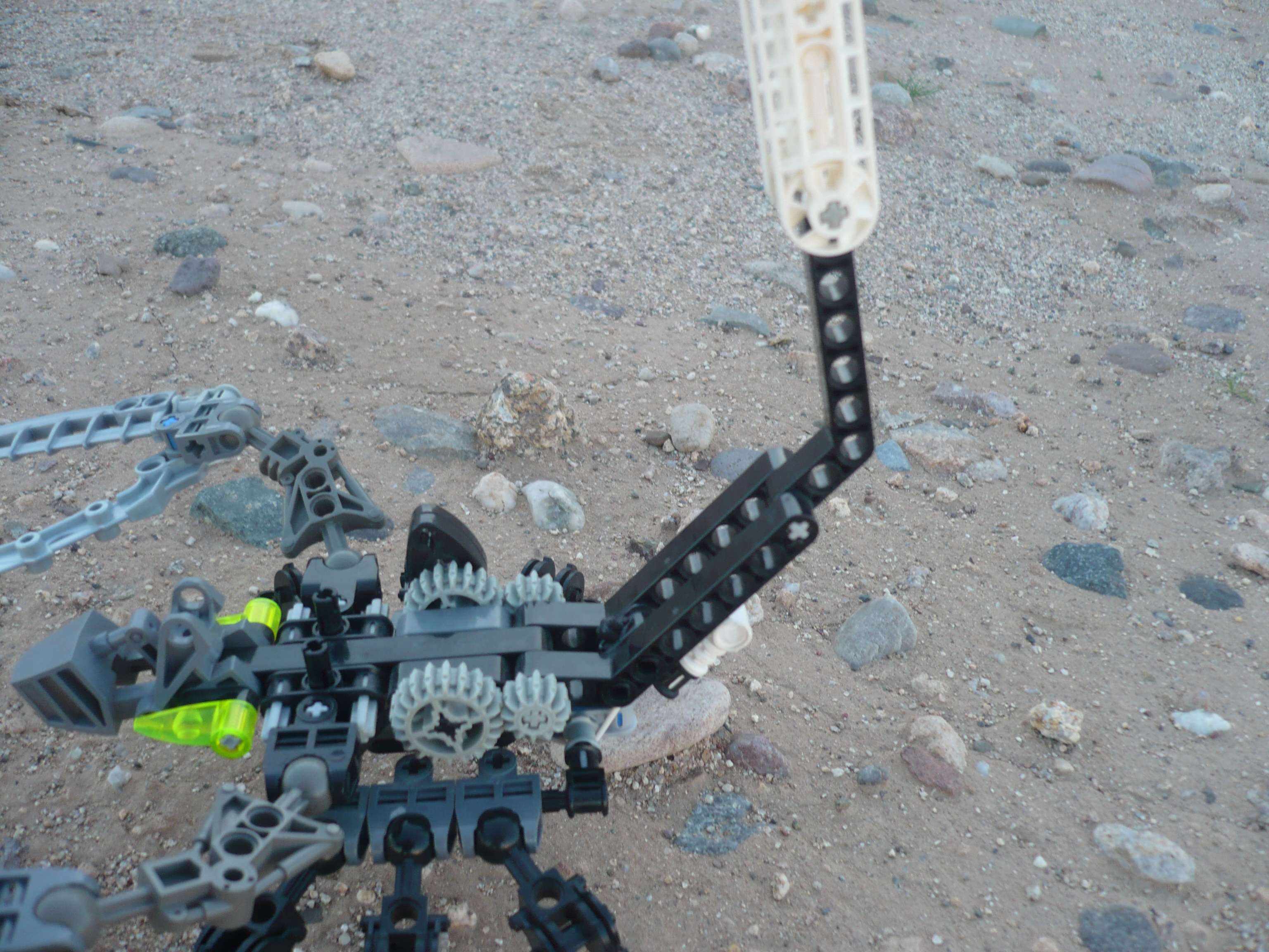 bionicles_3-2010_031.jpg