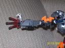 014_arm-left.jpg