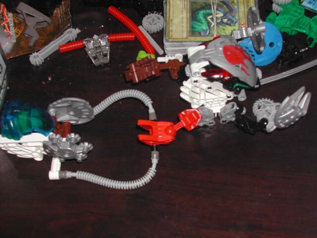 dscn1598.jpg