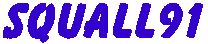 squall91.gif