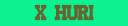 x-huri.gif