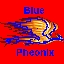 bluepheonix.gif