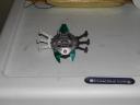 dscn1546.jpg