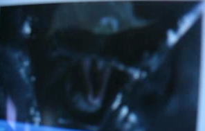 voilator.bmp