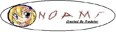 zznoamilogo333.jpg