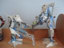 dsc02636.jpg