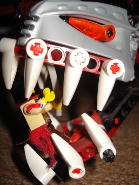 dsc00374.jpg