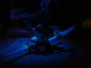 dsc00365.jpg