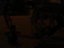 dsc00371.jpg