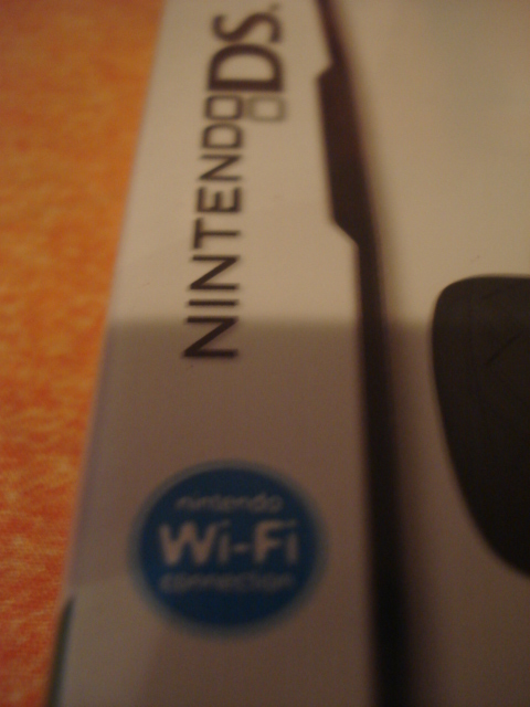 nintendo_ds_024.jpg