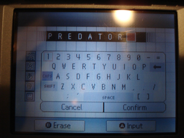 nintendo_ds_044.jpg