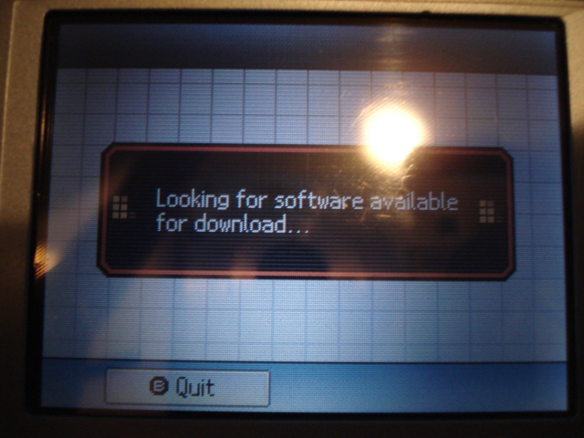nintendo_ds_053.jpg