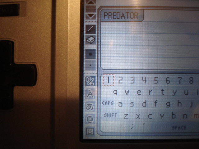nintendo_ds_057.jpg