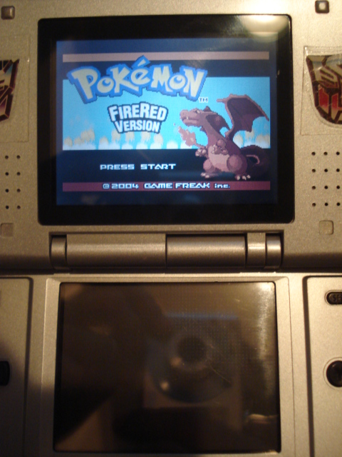 nintendo_ds_061.jpg