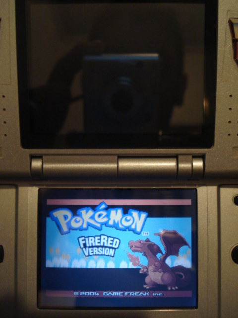 nintendo_ds_062.jpg