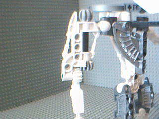 11.bmp