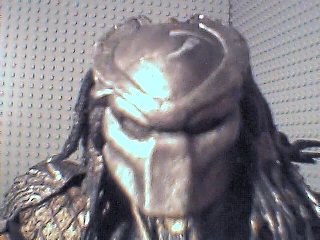 predator.bmp