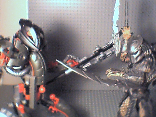 predatormakuta3.bmp