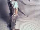 predatorfigure3.bmp