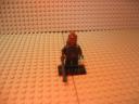 predator_009.jpg