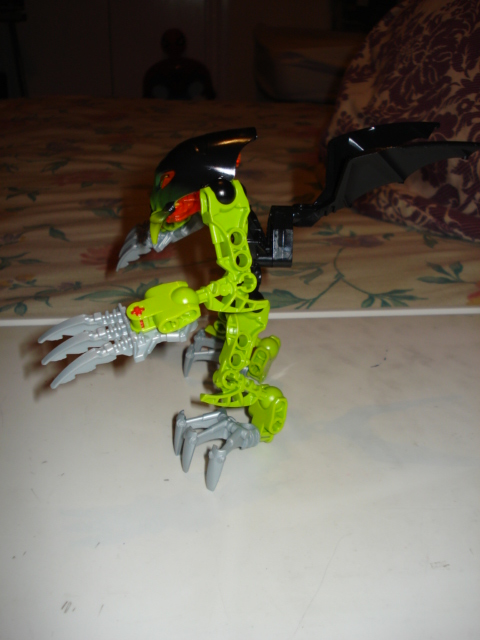 dsc00478.jpg