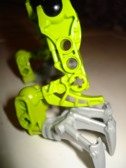 dsc00485.jpg