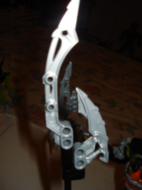 dsc00489.jpg