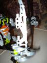 dsc00486.jpg