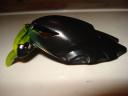 dsc00494.jpg