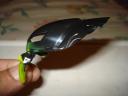 dsc00495.jpg