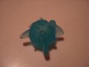 dsc00505.jpg