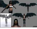 harpie.jpg
