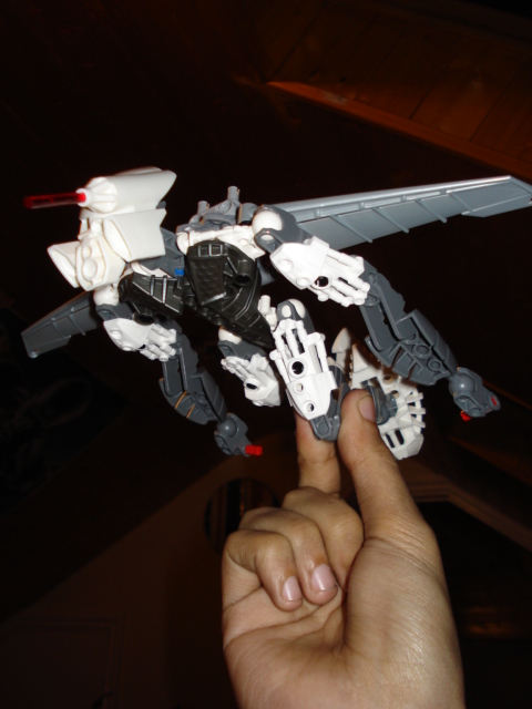 dsc00287.jpg