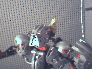 pop2brute4.bmp