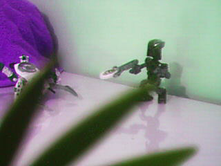 11.bmp