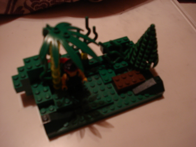 dsc00161.jpg