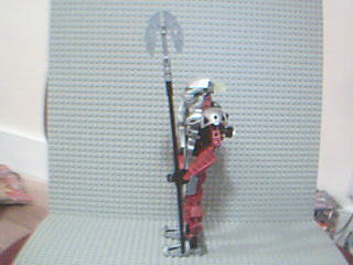 13.bmp