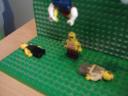 dsc02564.jpg