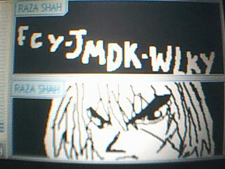 fcyds.bmp