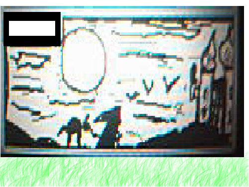 poppgrass.bmp